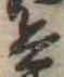 位置 確認된 兵