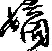 位置定マレル嫡