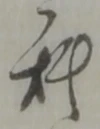 位置定マレル科