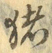 已定位猪