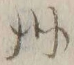 𡨸洲