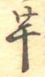 已定位芋