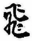 已定位飛