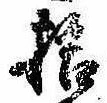 已定位拾