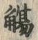 Character 觴