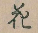 位置 確認된 花