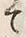 文字 飽