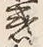 字惑
