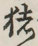 已定位猪