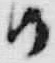 文字様