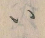 已定位𛀆