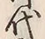 Character 代