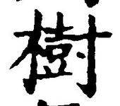 「樹」字