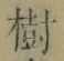 「樹」字