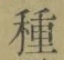 Chữ 種
