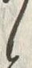 「お」字