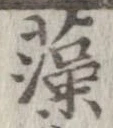 已定位藻