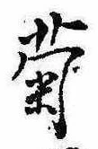 已定位菊