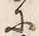 文字 年