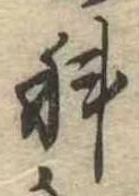 位置定マレル科