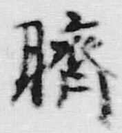 文字臍