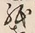 文字 紙