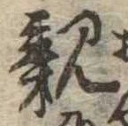 已定位親