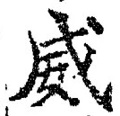 Character 威