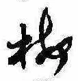 已定位梅