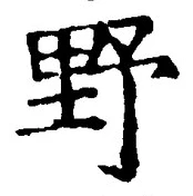 Character 野