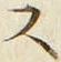 「ス」字