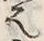 Character 法