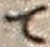 文字て