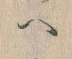 已定位𛂹