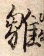 已定位雛