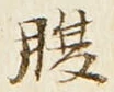 字腹