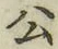 「公」字