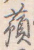 已定位蕷