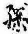 Located 孫