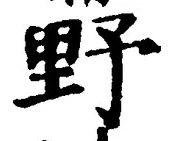 Character 野