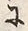 字思