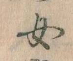 位置 確認된 女