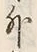 Character 外