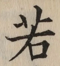 字若