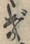已定位ぎ
