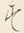 字す
