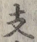 位置 確認된 支