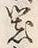 字器