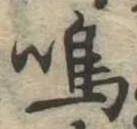 Đã định vị 鳴