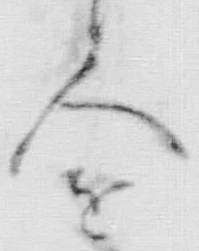 「本」字